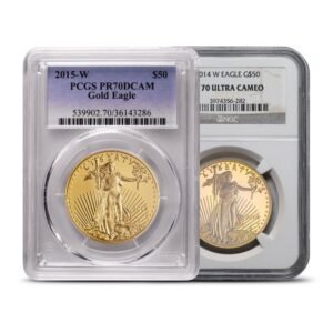 1 oz Proof American Gold Eagle Coin PR/PF70 (Random Year, PCGS or NGC)