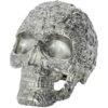 Buy 15 oz Silver Skull Of The Dead (New, Box + CoA) - Image 2