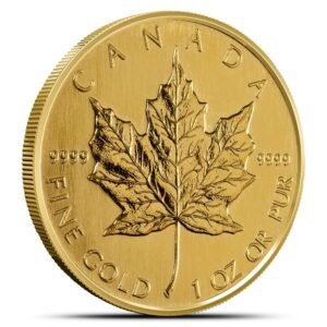 1989 1 oz Canadian Gold Maple Leaf Coin