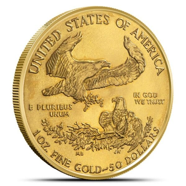 2003 1 oz American Gold Eagle Coin - Image 2