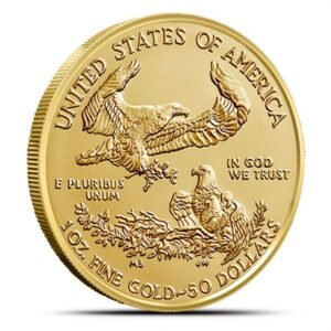 2004 1 oz American Gold Eagle Coin