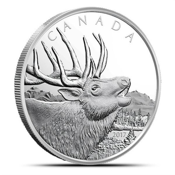 2017 500 Gram Proof $125 Canadi