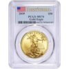 2019 1 oz American Gold Eagle Coin P