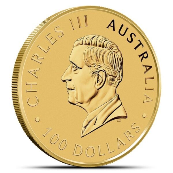 2024 1 oz Australian Gold Kangaroo Coin (BU) - Image 2