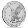 2024 (P) 1 oz Star Privy American Silver Eagle Monster Box (500 Coins, BU, Sealed) - Image 3
