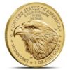 2025 1 oz American Gold Eagle Tube (20 Coins, BU) - Image 3