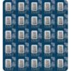 25 Gram PAMP Suisse Divisible Platinu